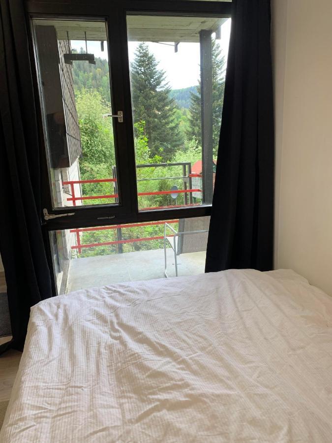 Apartment Kleines Einzimmer-apartment 14