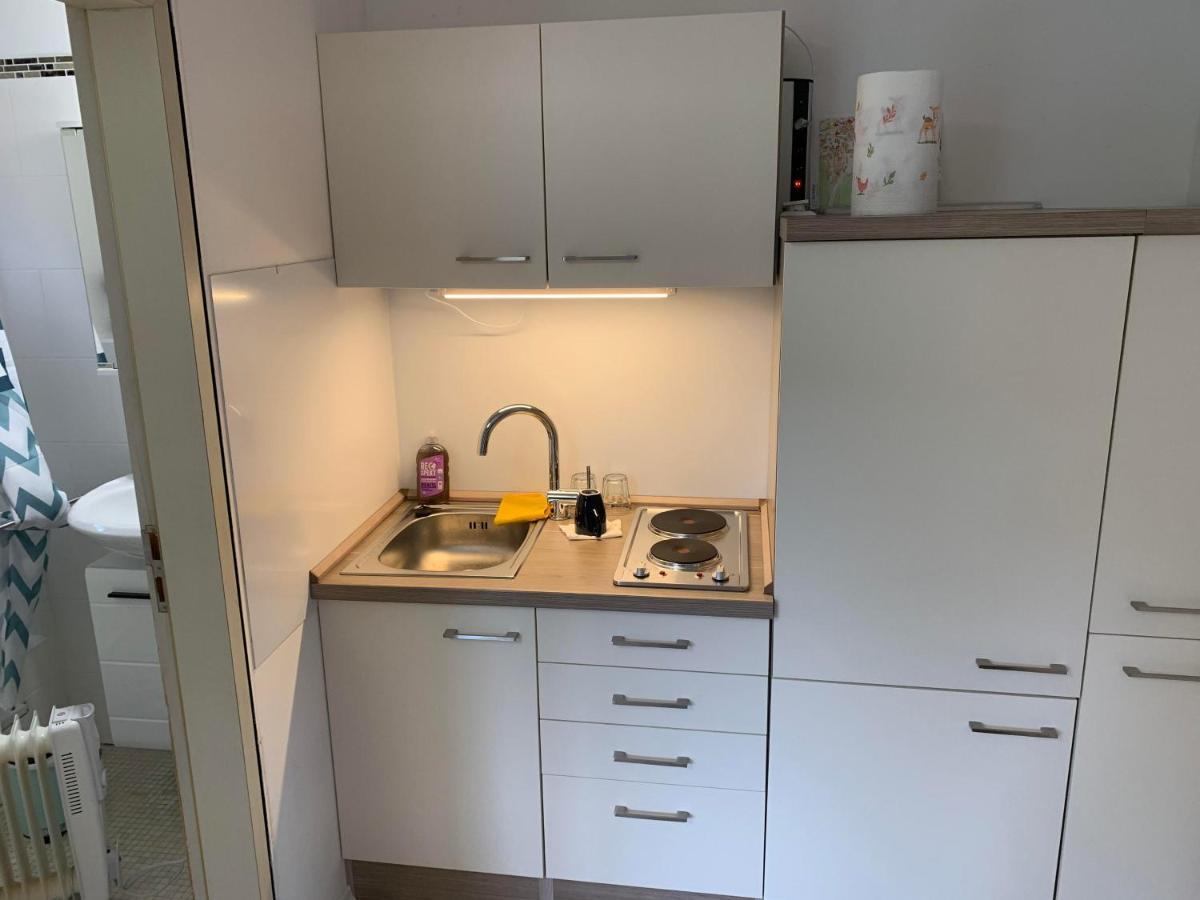 Apartment Kleines Einzimmer-apartment 14 Bad Wildbad