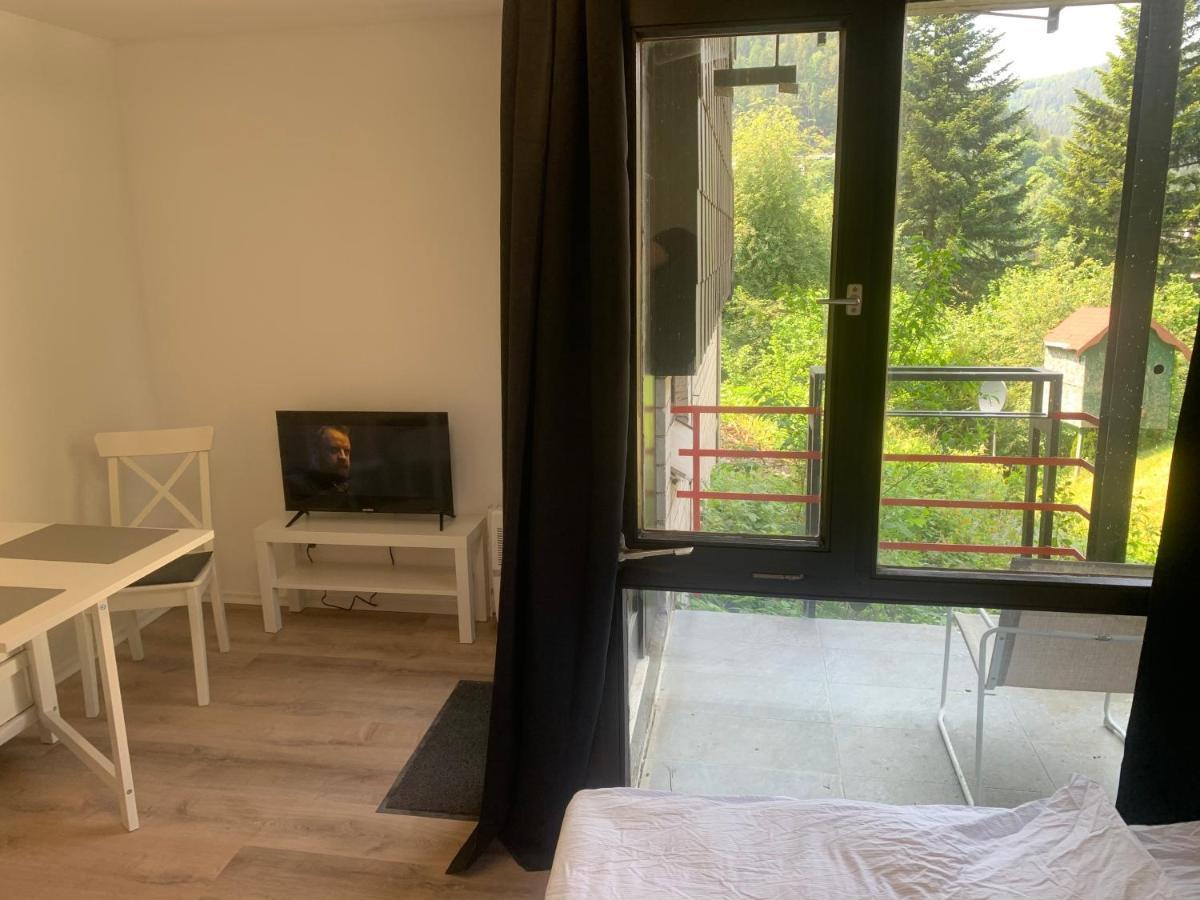 Kleines Einzimmer-apartment 14 *